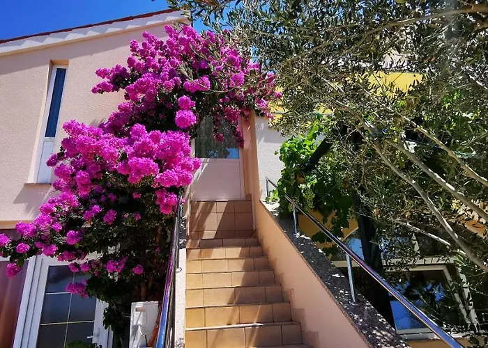 Marin, Kolan, Mandre, Pag